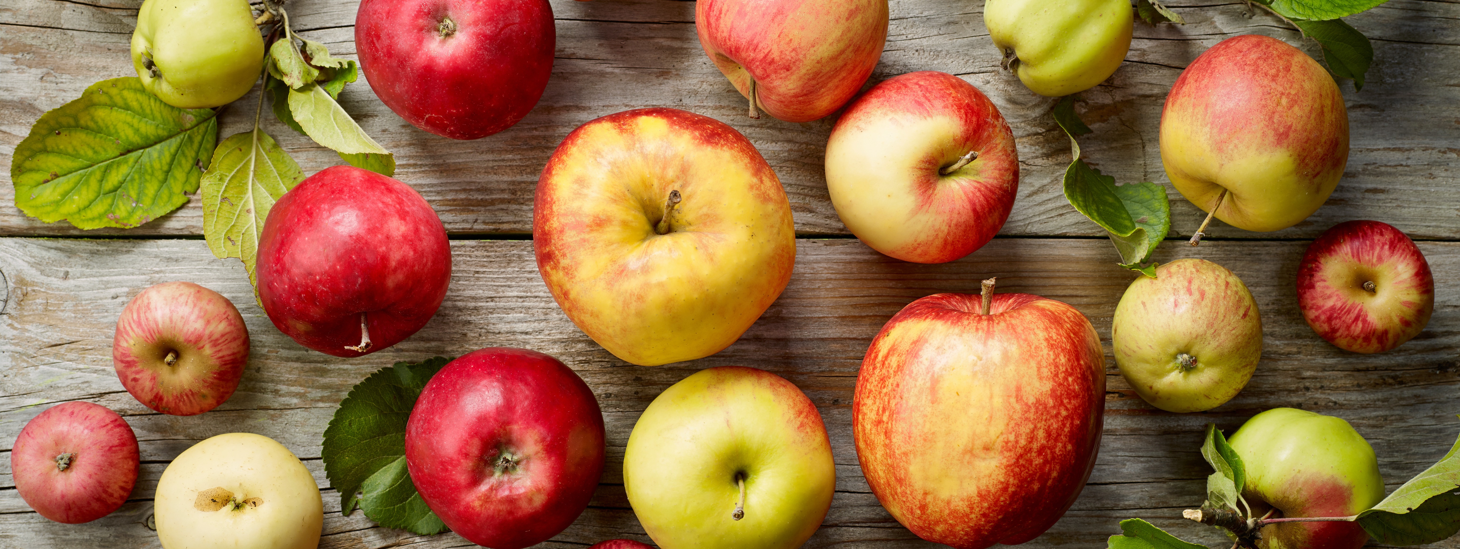 Different Types of Apples Different Types of Apples