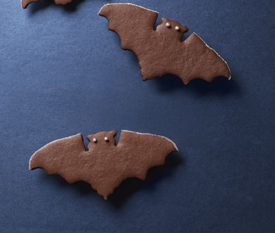 spiced chocolate bat cookies